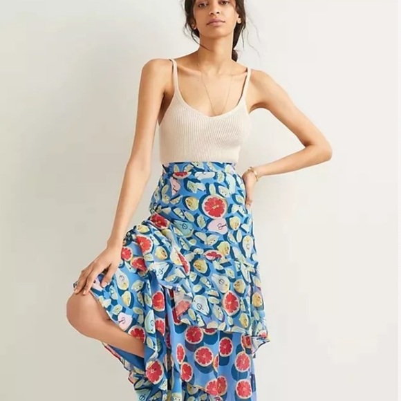 Anthropologie hutch tutti fruityskirt new xl